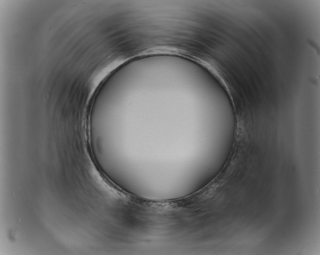 X0000100841003200807111147