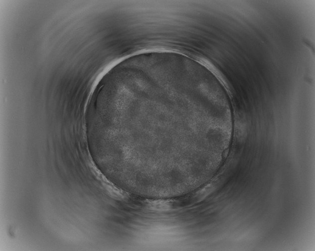 X0000100841004200807111147