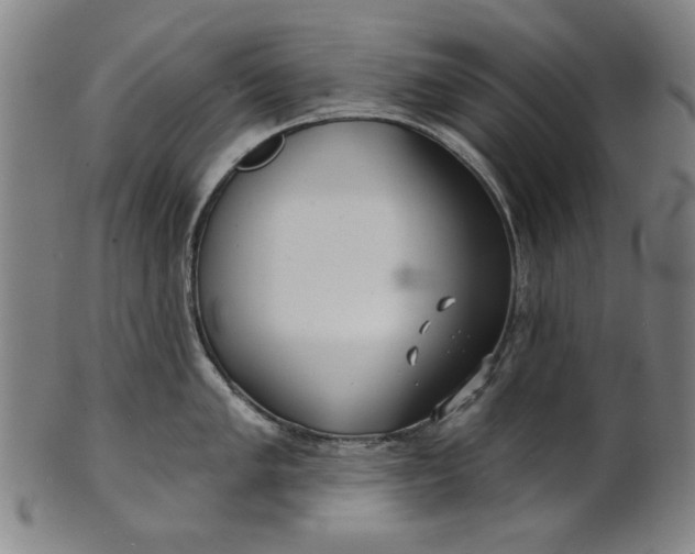 X0000100841005200807111147