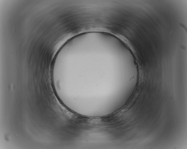 X0000100841006200807111147