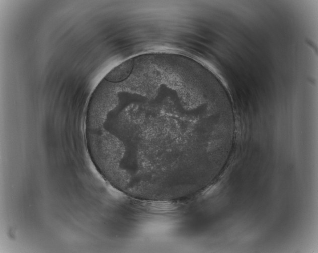 X0000100841007200807111147