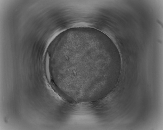 X0000100841008200807111147