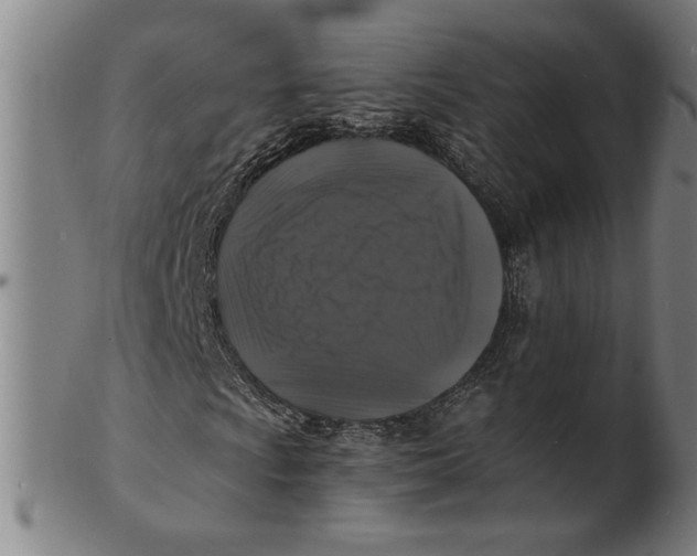 X0000100841009200807111146