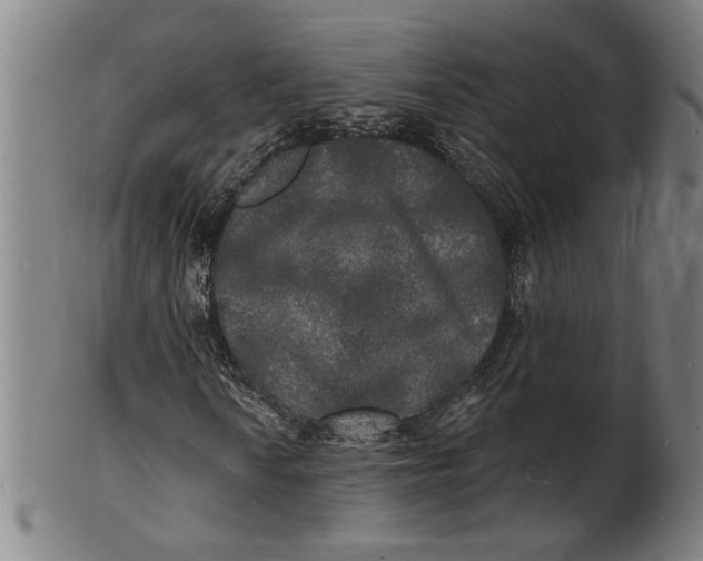 X0000100841010200807111146