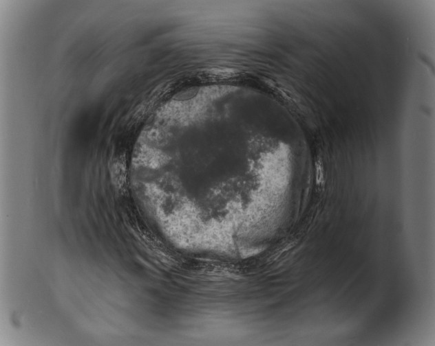 X0000100841011200807111146