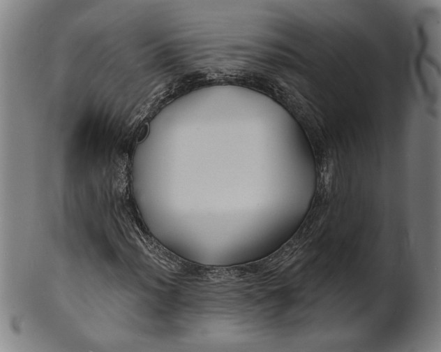 X0000100841012200807111146