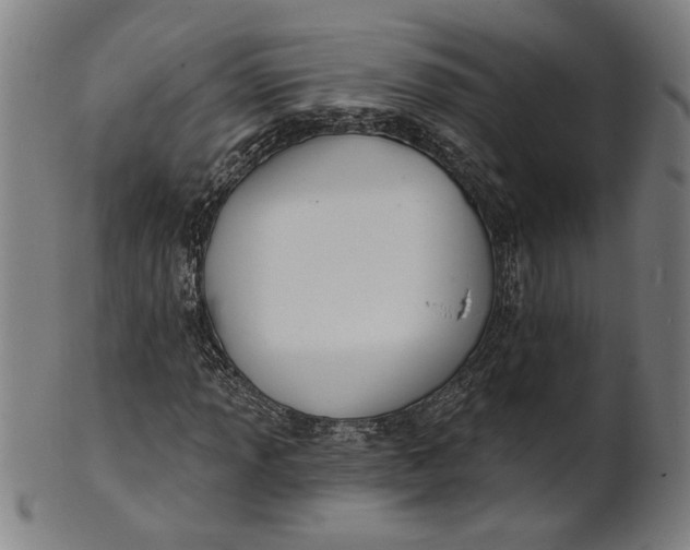 X0000100841013200807111146