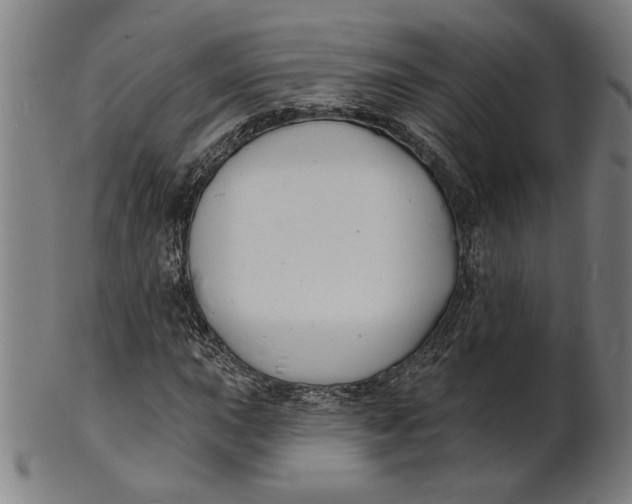 X0000100841015200807111146