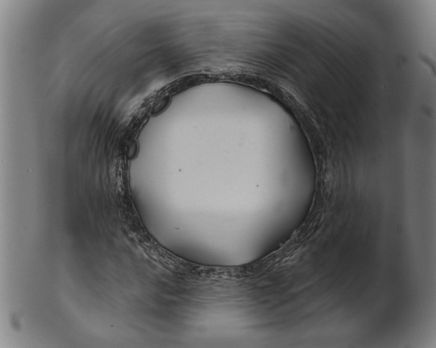 X0000100841016200807111146