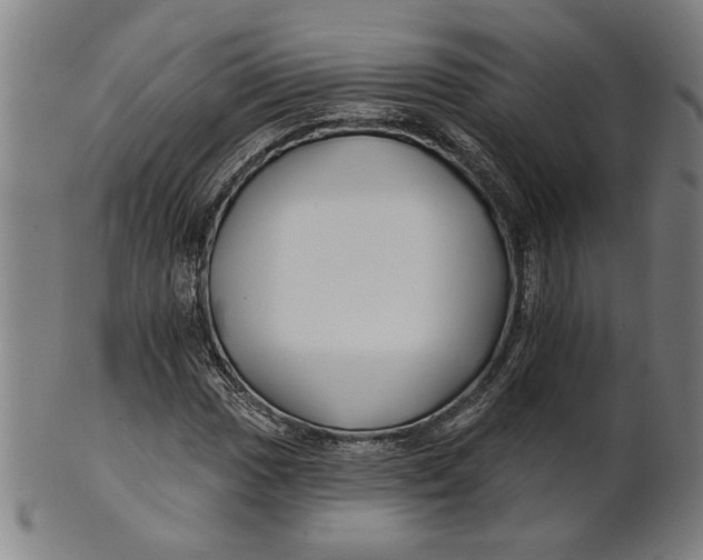 X0000100841017200807111146