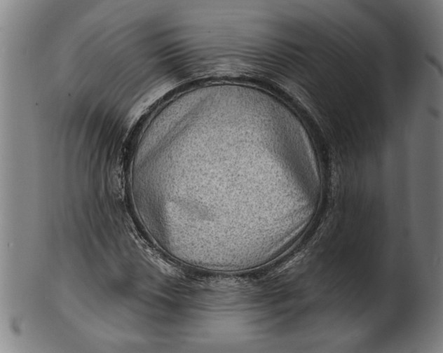 X0000100841018200807111146