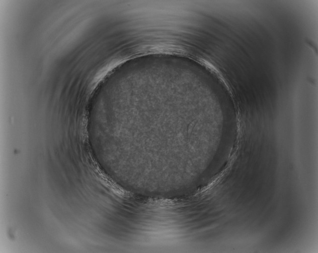 X0000100841019200807111146