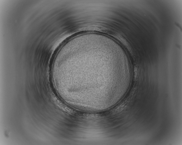 X0000100841020200807111146