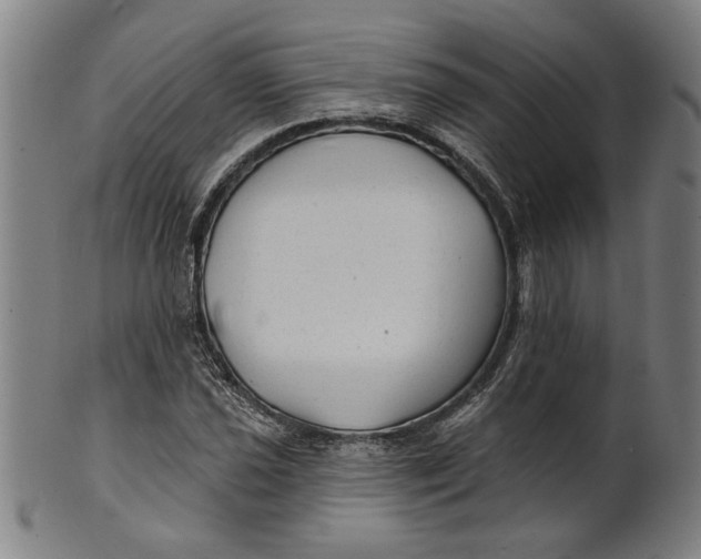 X0000100841021200807111146