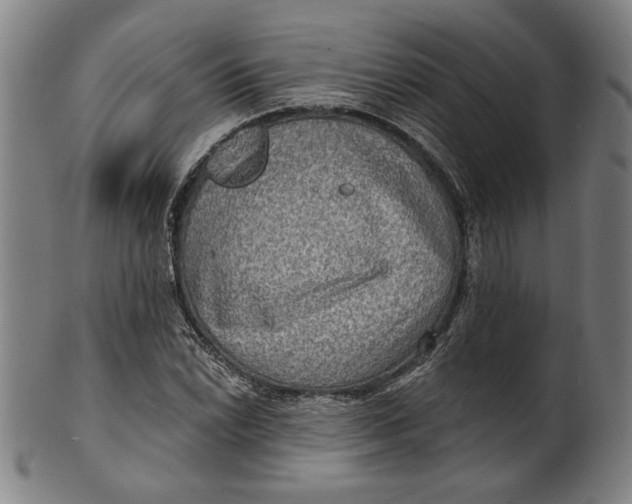 X0000100841022200807111146