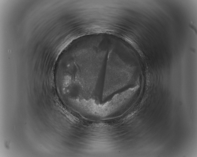 X0000100841023200807111146