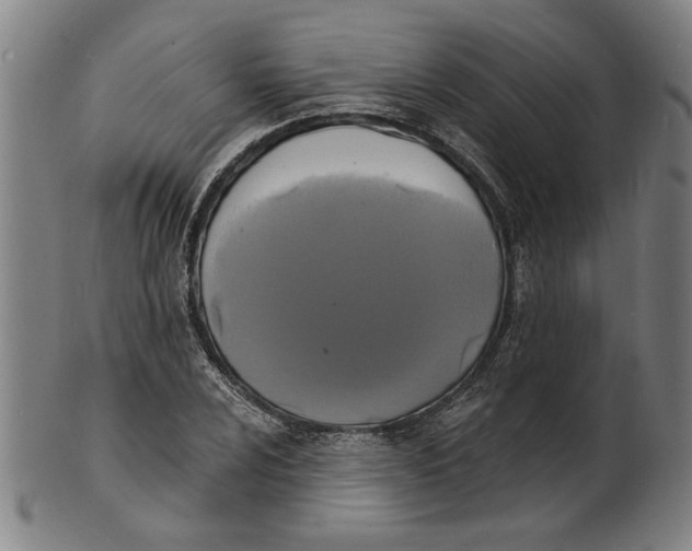 X0000100841024200807111146