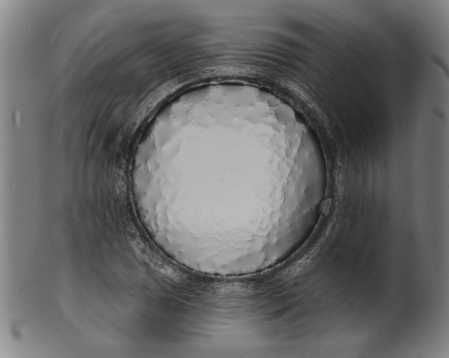 X0000100841025200807111146