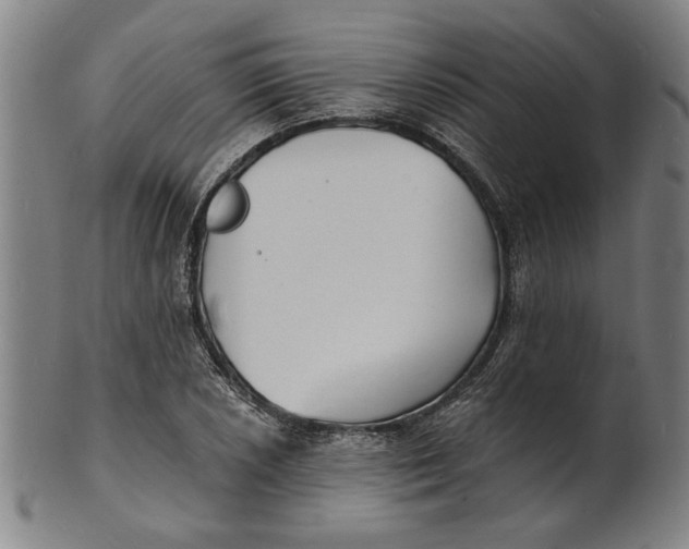 X0000100841026200807111146