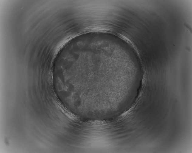 X0000100841027200807111146