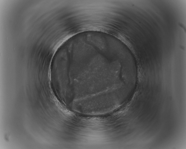 X0000100841028200807111146