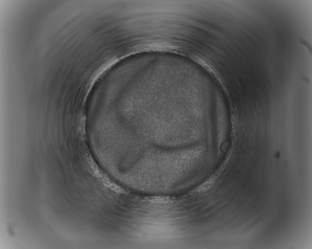 X0000100841029200807111146