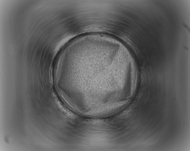 X0000100841030200807111146