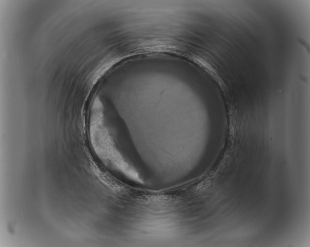 X0000100841031200807111146