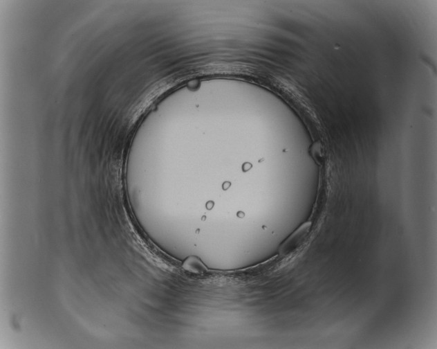 X0000100841033200807111146