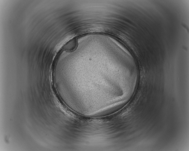 X0000100841034200807111146