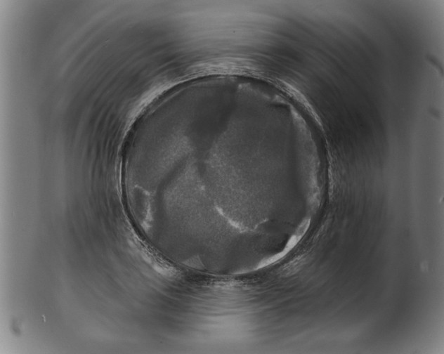 X0000100841035200807111146