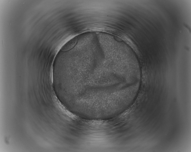 X0000100841036200807111146