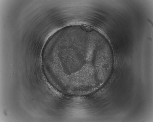 X0000100841037200807111146