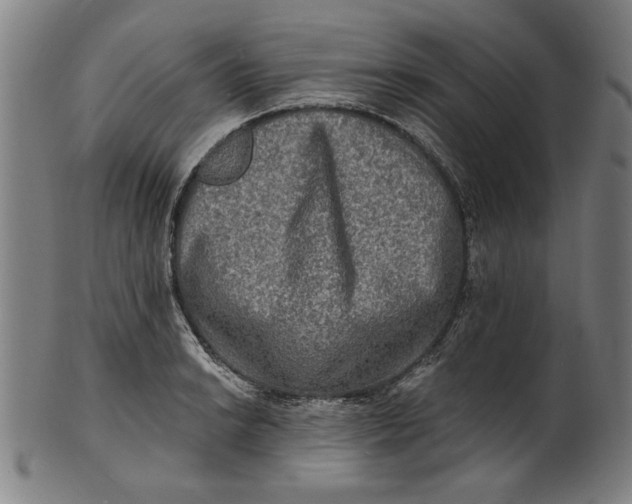 X0000100841038200807111146