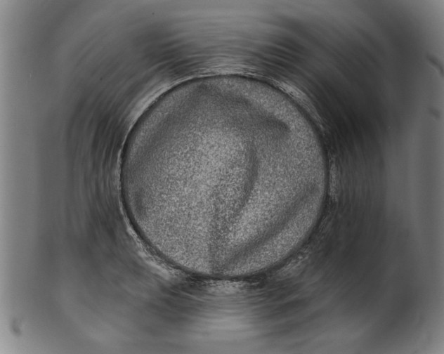 X0000100841039200807111146