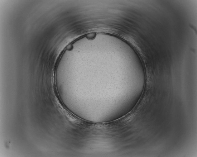 X0000100841040200807111146