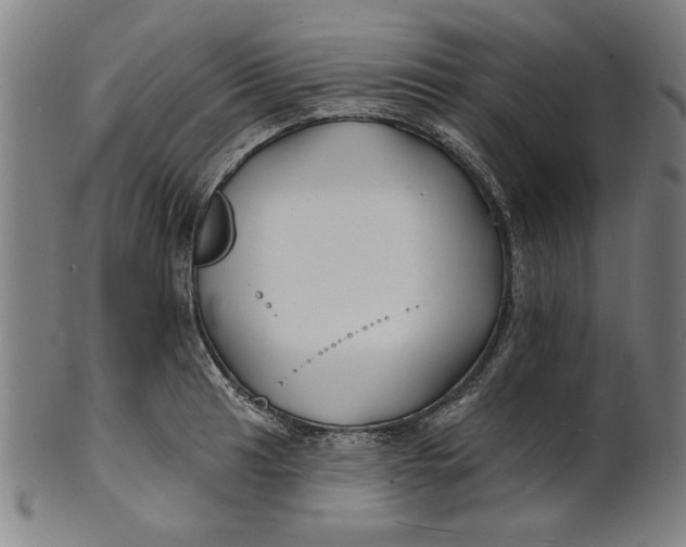 X0000100841041200807111147