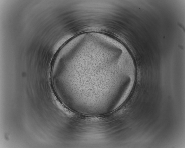 X0000100841042200807111147