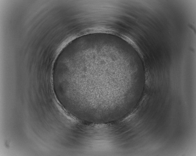 X0000100841043200807111147