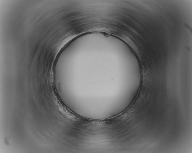 X0000100841044200807111147