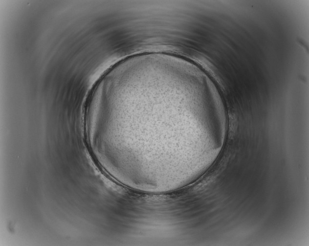 X0000100841046200807111147