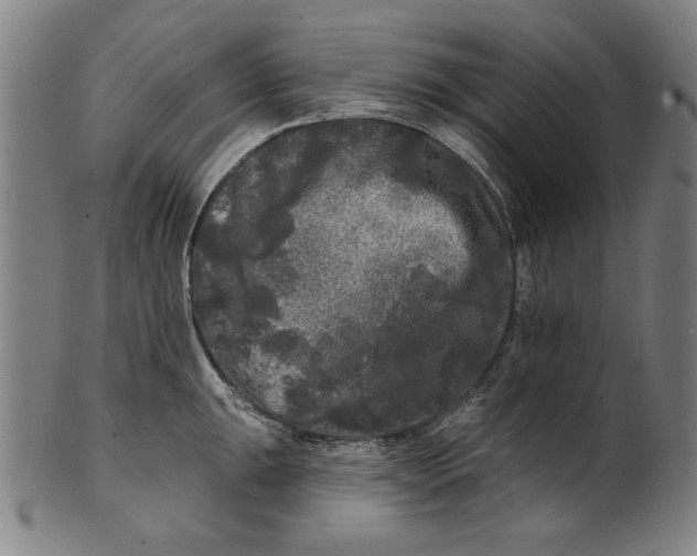 X0000100841047200807111147