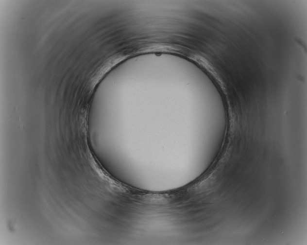 X0000100841049200807111147