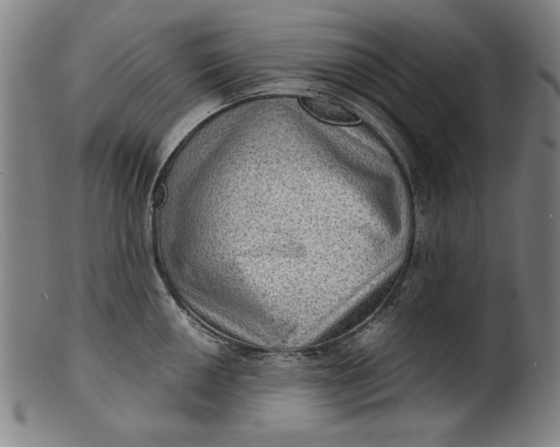 X0000100841050200807111147