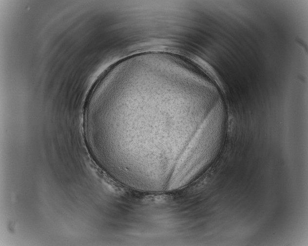 X0000100841051200807111147