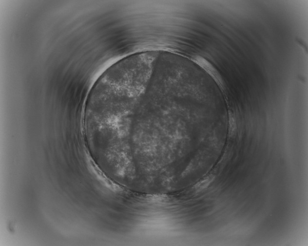 X0000100841052200807111147