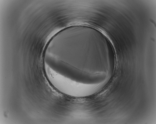 X0000100841053200807111147