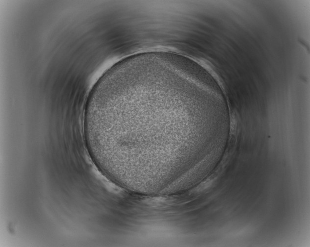 X0000100841054200807111147