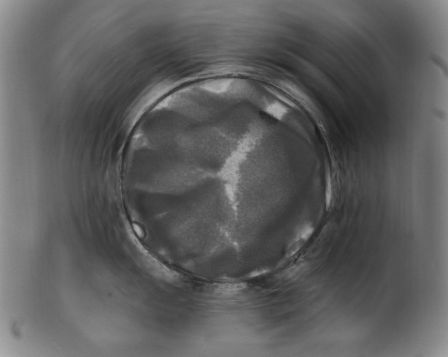 X0000100841055200807111147