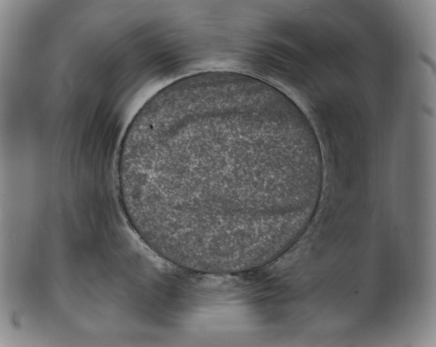 X0000100841056200807111147